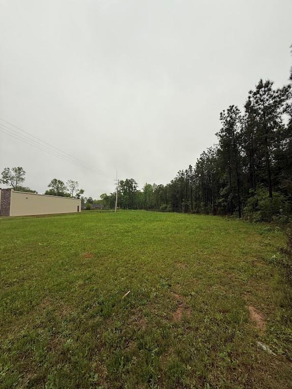 Pichetto Trail, Livingston, Texas image 20