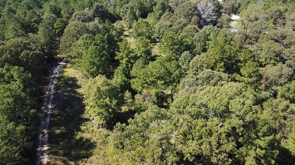 TBD County Road 3266, Colmesneil, Texas image 9