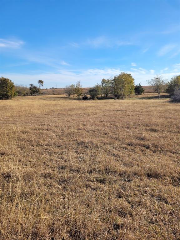 TBD 1 Caney Creek Road, Chappell Hill, Texas image 4