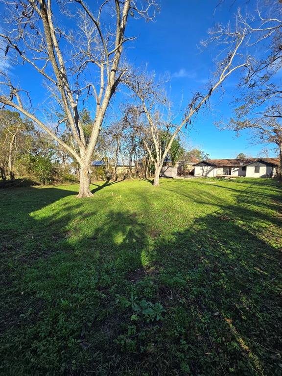 5030 Clover Street, Houston, Texas image 27