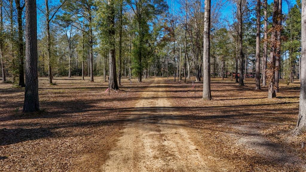 TBD (Lot 4) County Road 3545, Joaquin, Texas image 1