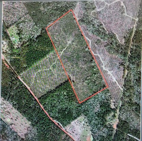 TBD Fm-3081 Willis TX 77378