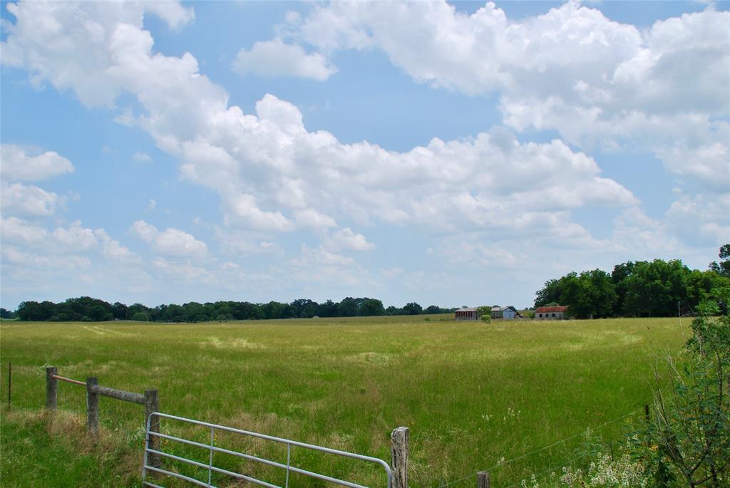 1024 E Sedan Road, Weimar, Texas image 6