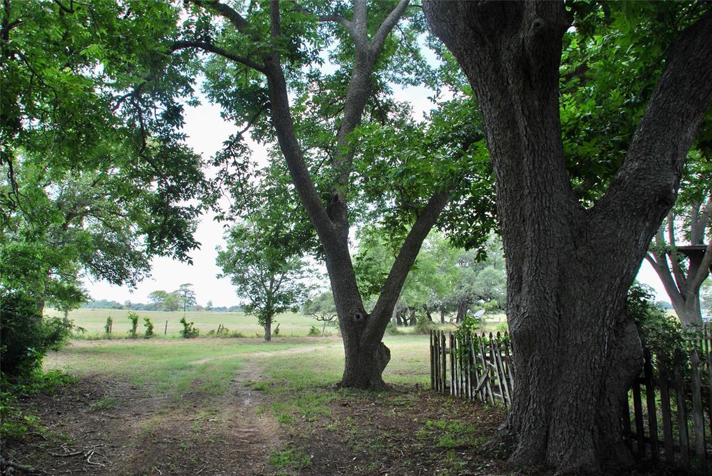 1024 E Sedan Road, Weimar, Texas image 20