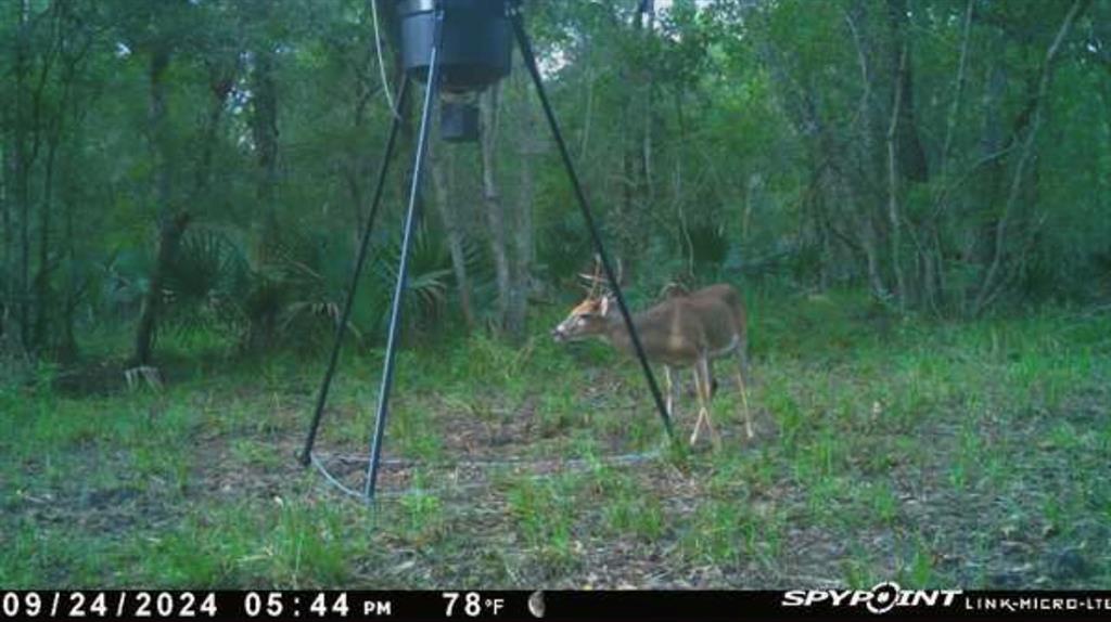 3941 County Road 780, Sweeny, Texas image 13