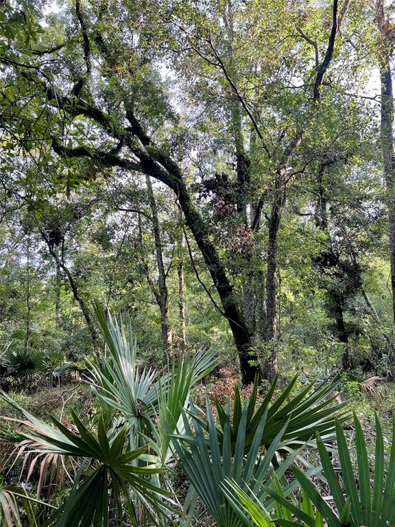 3941 County Road 780, Sweeny, Texas image 12