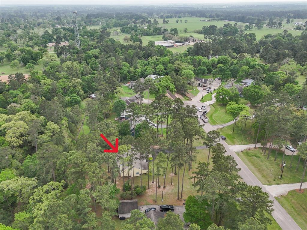 25680 Wisteria Lane, Hockley, Texas image 33