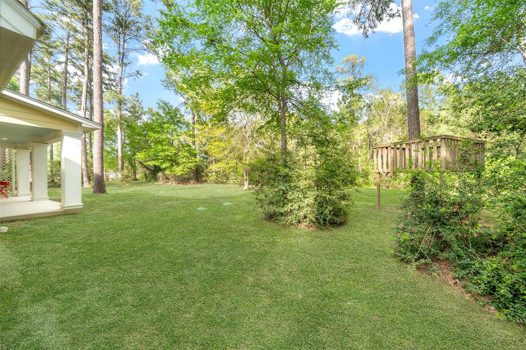 25680 Wisteria Lane, Hockley, Texas image 30