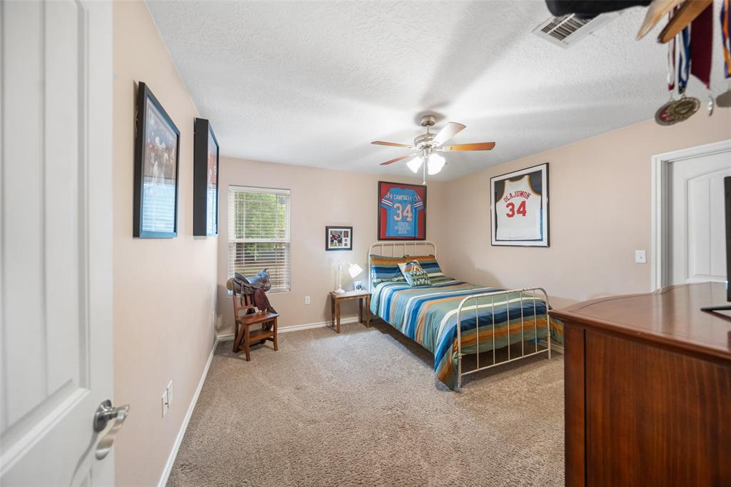 25680 Wisteria Lane, Hockley, Texas image 21
