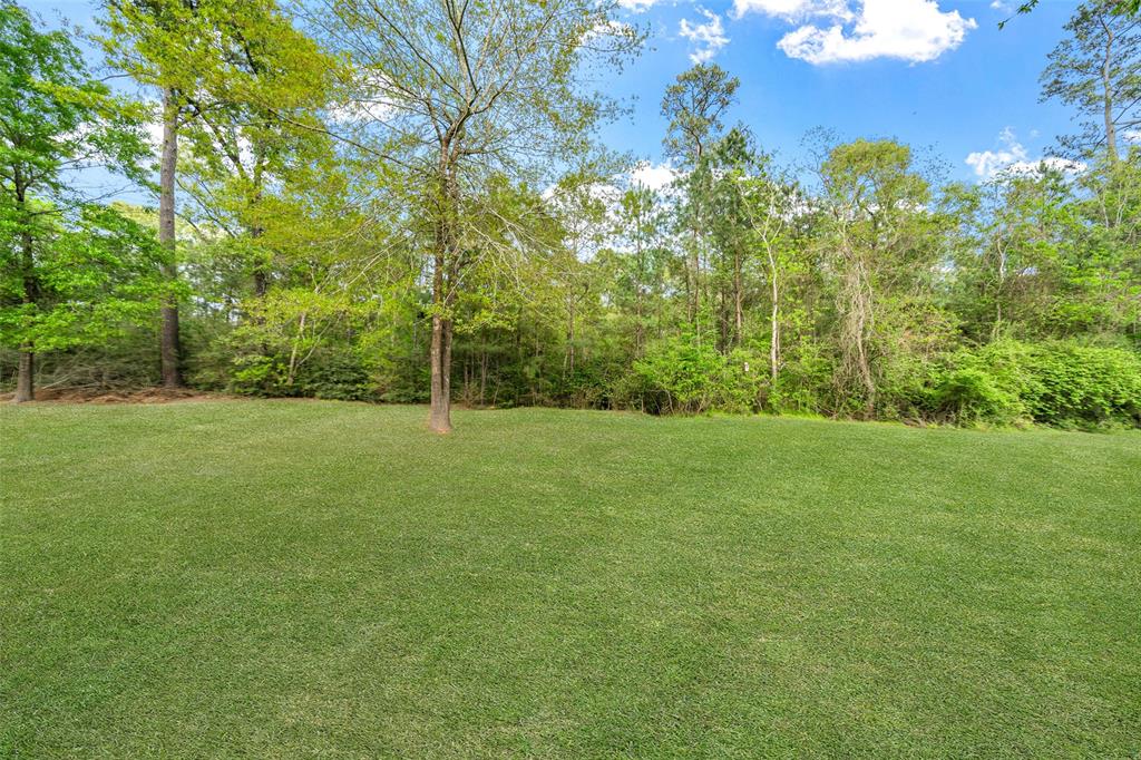 25680 Wisteria Lane, Hockley, Texas image 31
