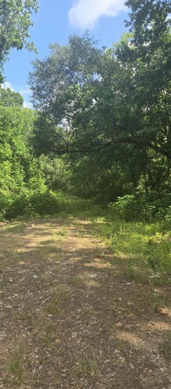 TBD Ponderosa Circle
