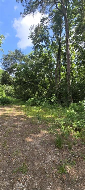 TBD Ponderosa Circle