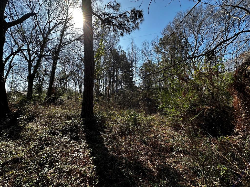 26290 Deer Creek Run, Cleveland, Texas image 4