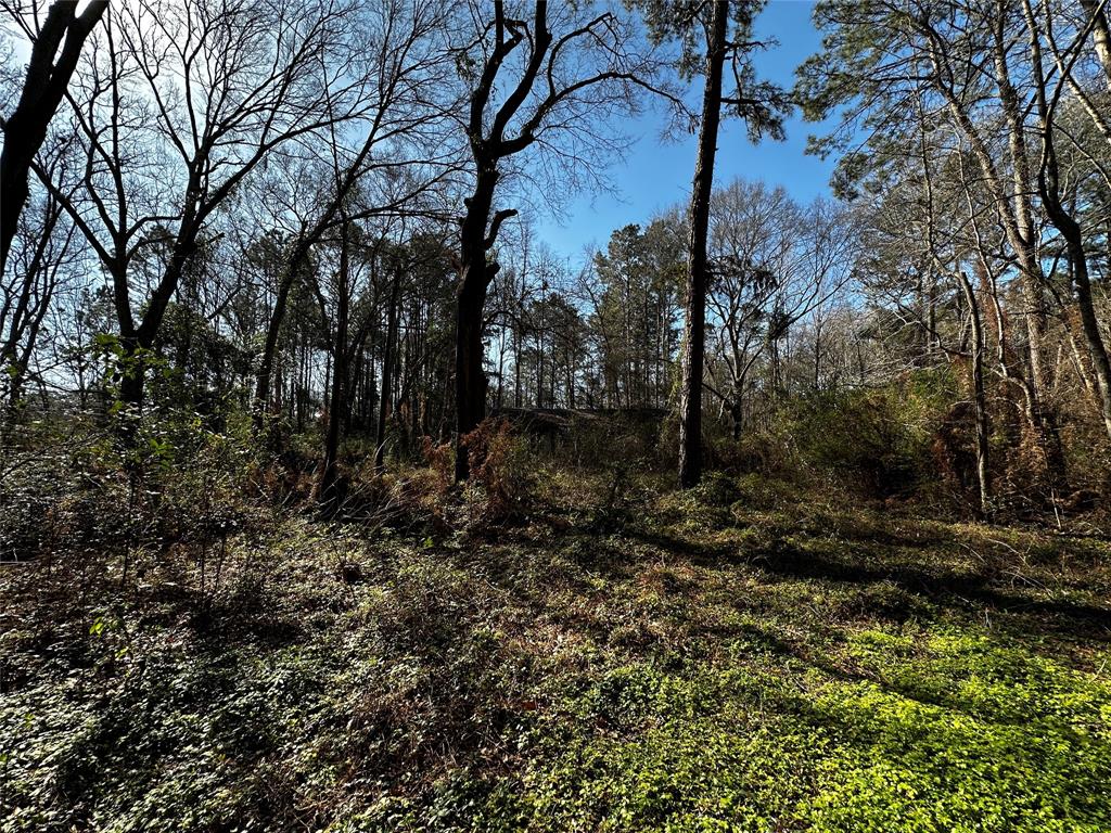 26290 Deer Creek Run, Cleveland, Texas image 3