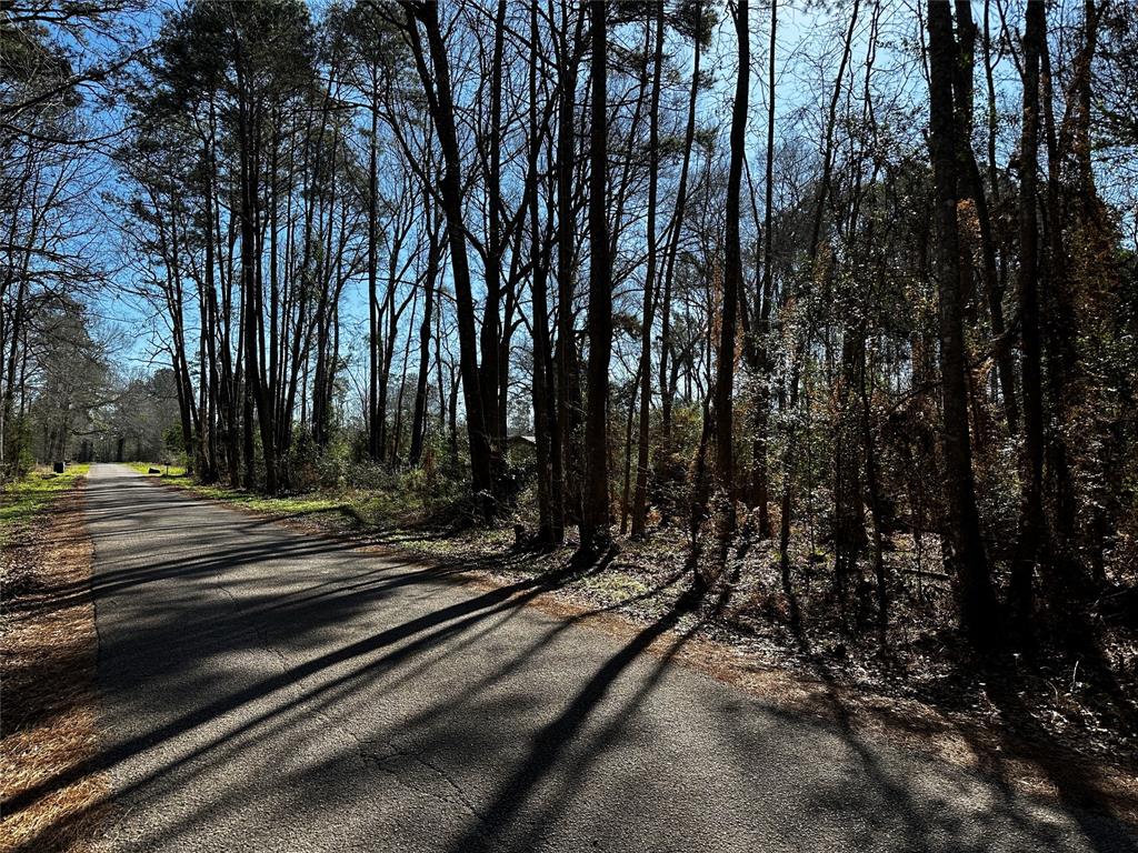 26290 Deer Creek Run, Cleveland, Texas image 2