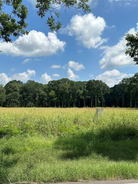 5522 County Road 42, Rosharon, Texas image 1
