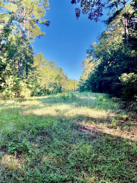 TBD Cr 1190, Kennard, Texas image 7