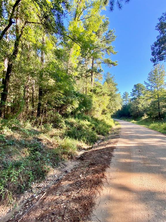 TBD Cr 1190, Kennard, Texas image 5