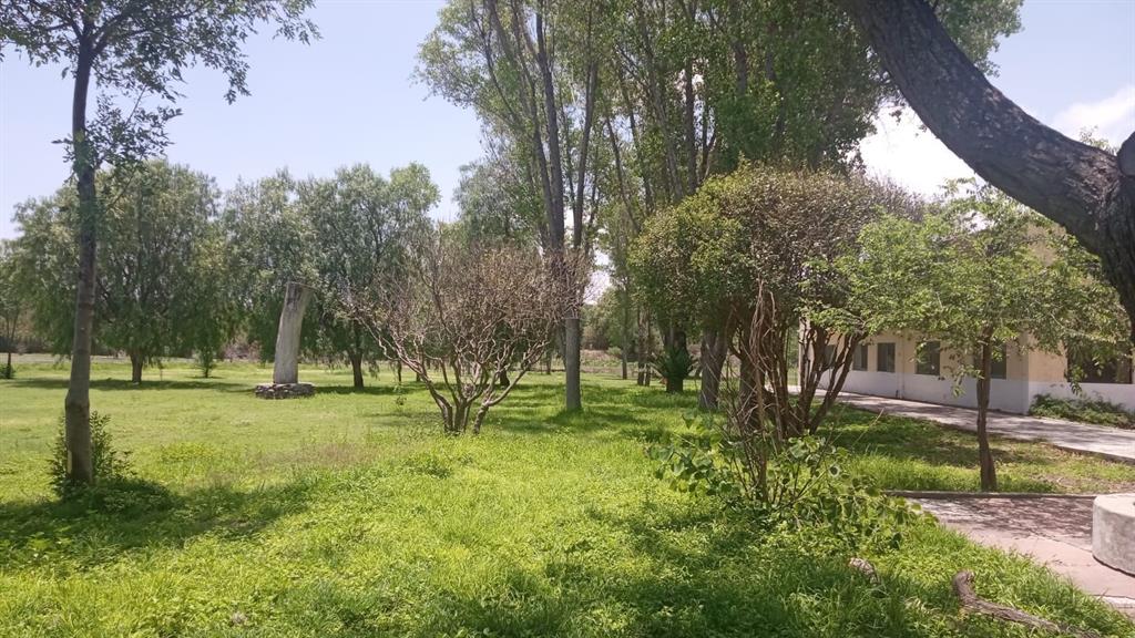 00 San Miguel y Dolores Hidalgo