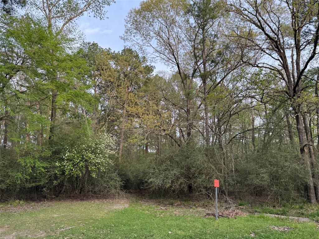 TBD27 Broadmoor Drive, Trinity, Texas image 1