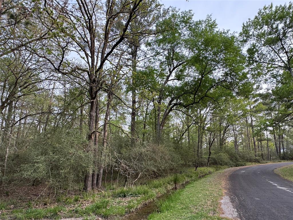 TBD27 Broadmoor Drive, Trinity, Texas image 6