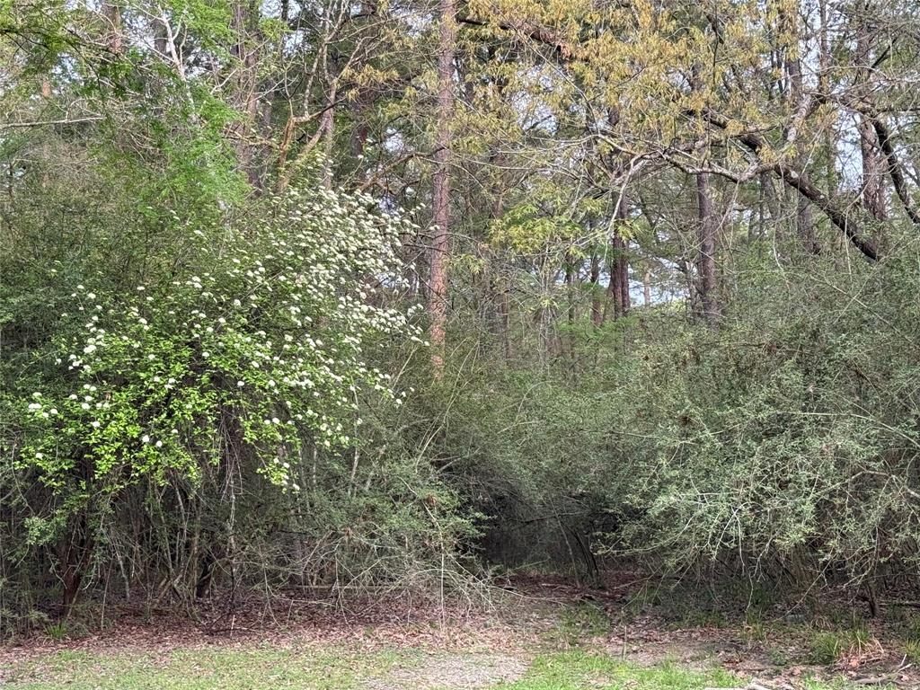 TBD27 Broadmoor Drive, Trinity, Texas image 3