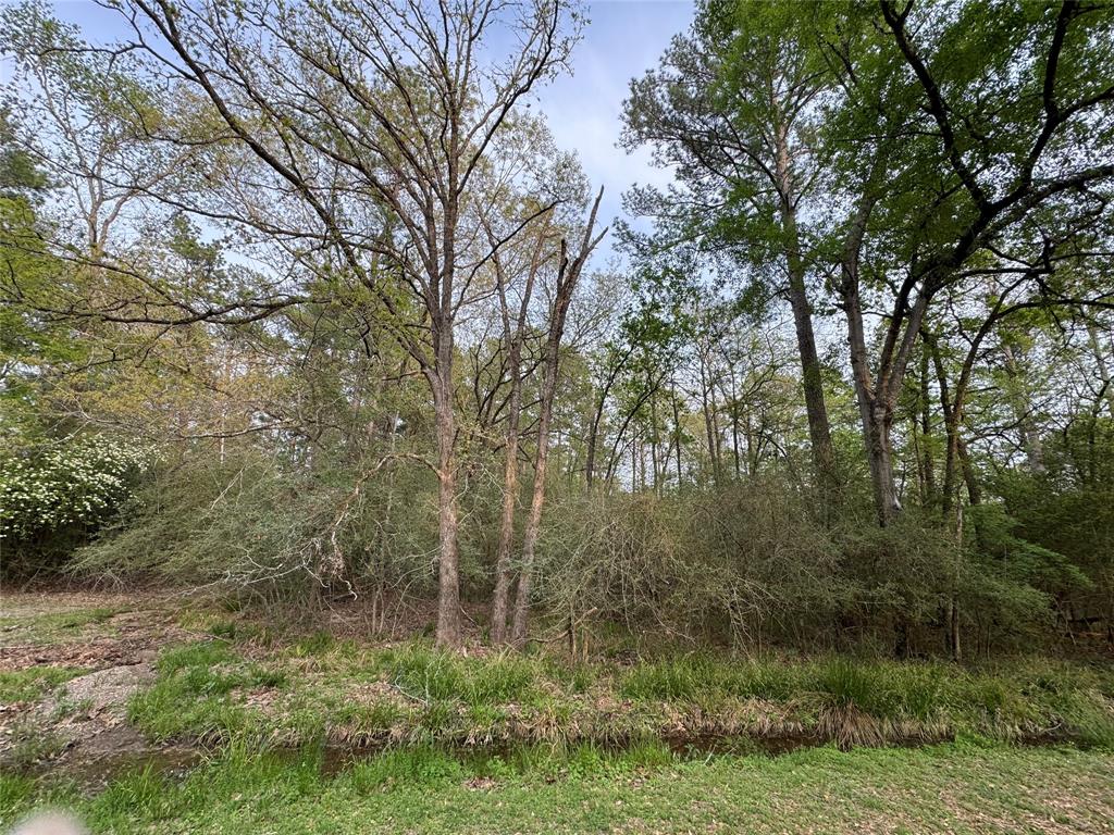 TBD27 Broadmoor Drive, Trinity, Texas image 4