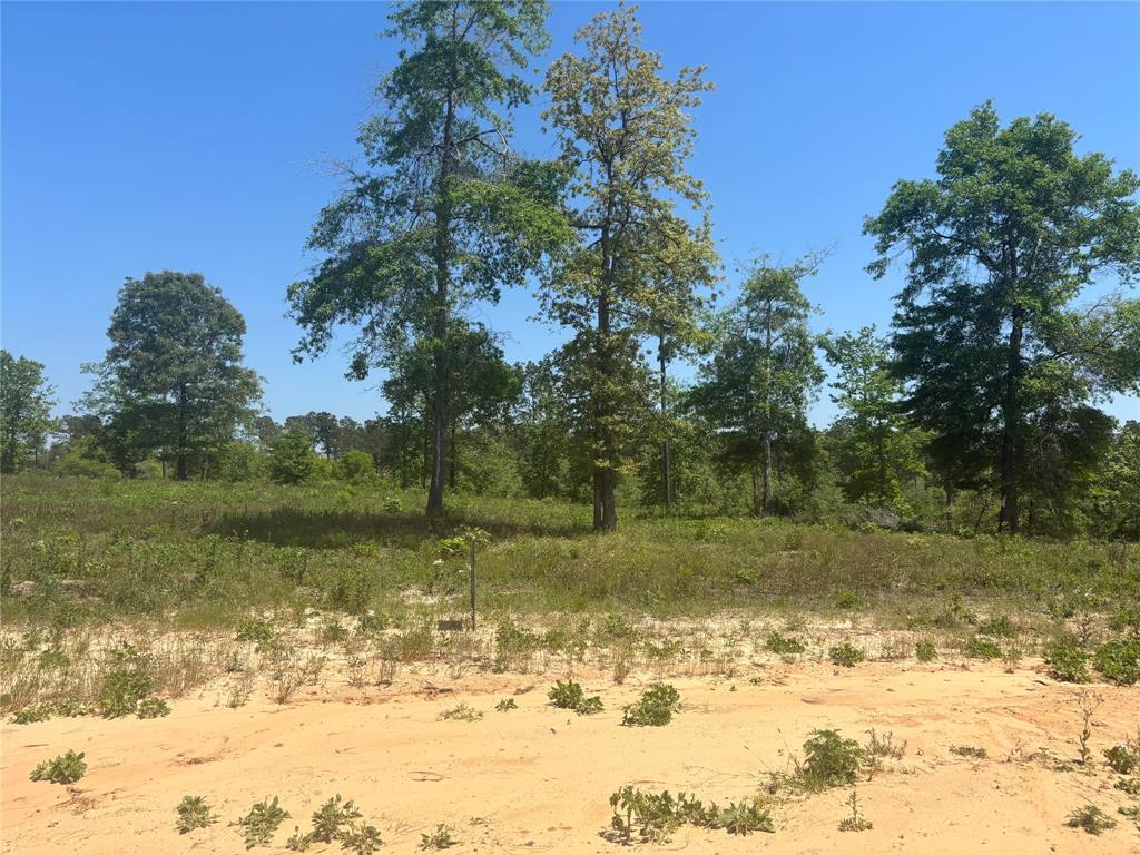 142 Dove Hill Circle, Livingston, Texas image 1