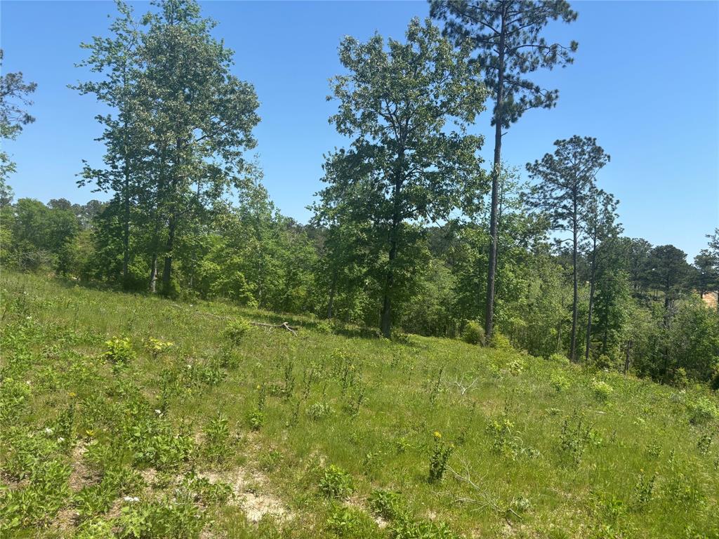 142 Dove Hill Circle, Livingston, Texas image 6