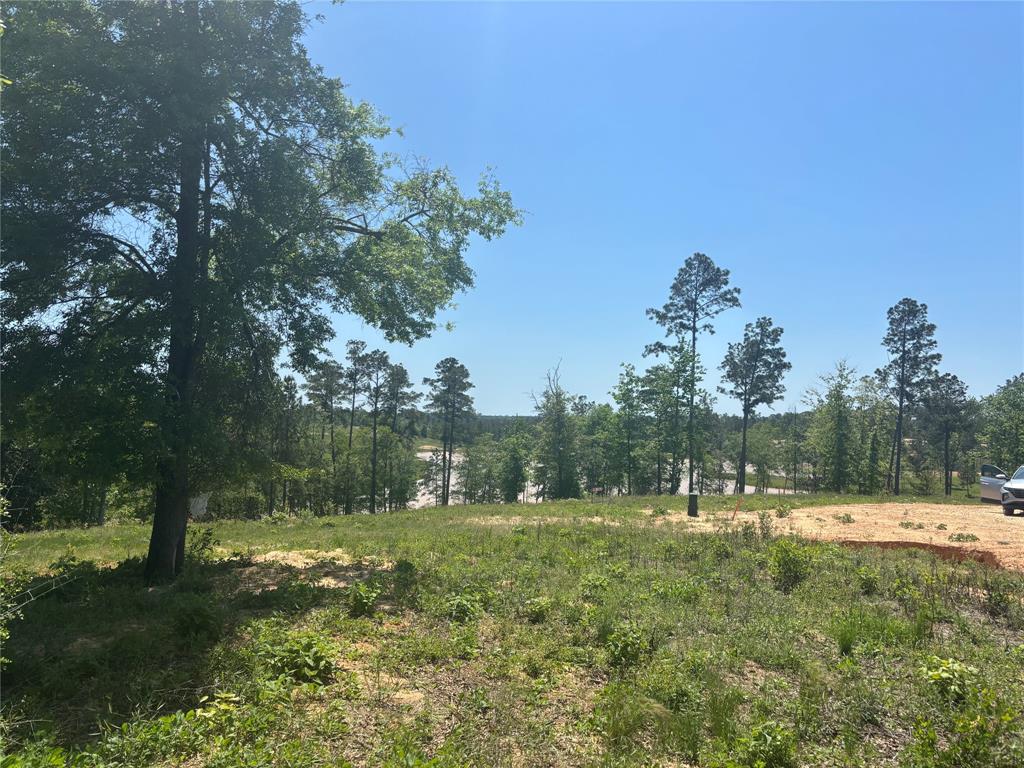 142 Dove Hill Circle, Livingston, Texas image 3