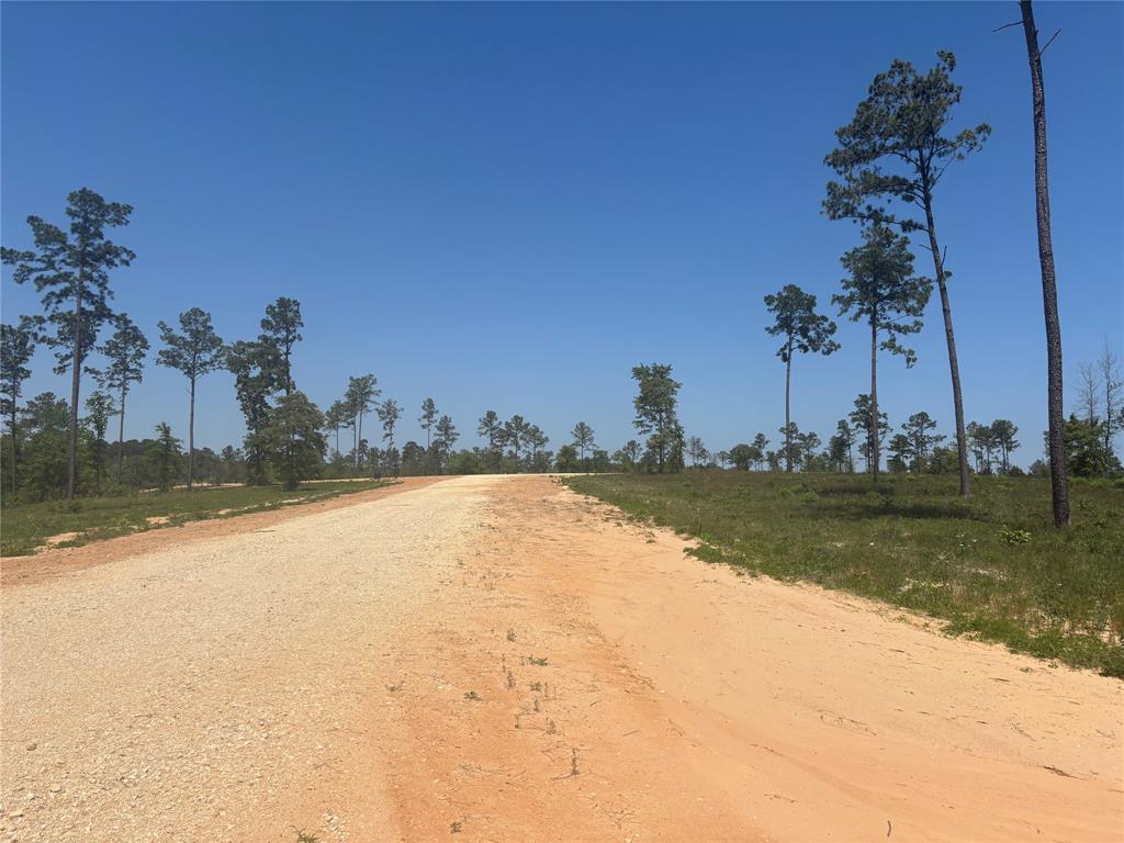 142 Dove Hill Circle, Livingston, Texas image 4