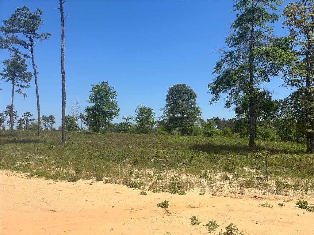 142 Dove Hill Circle, Livingston, Texas image 2