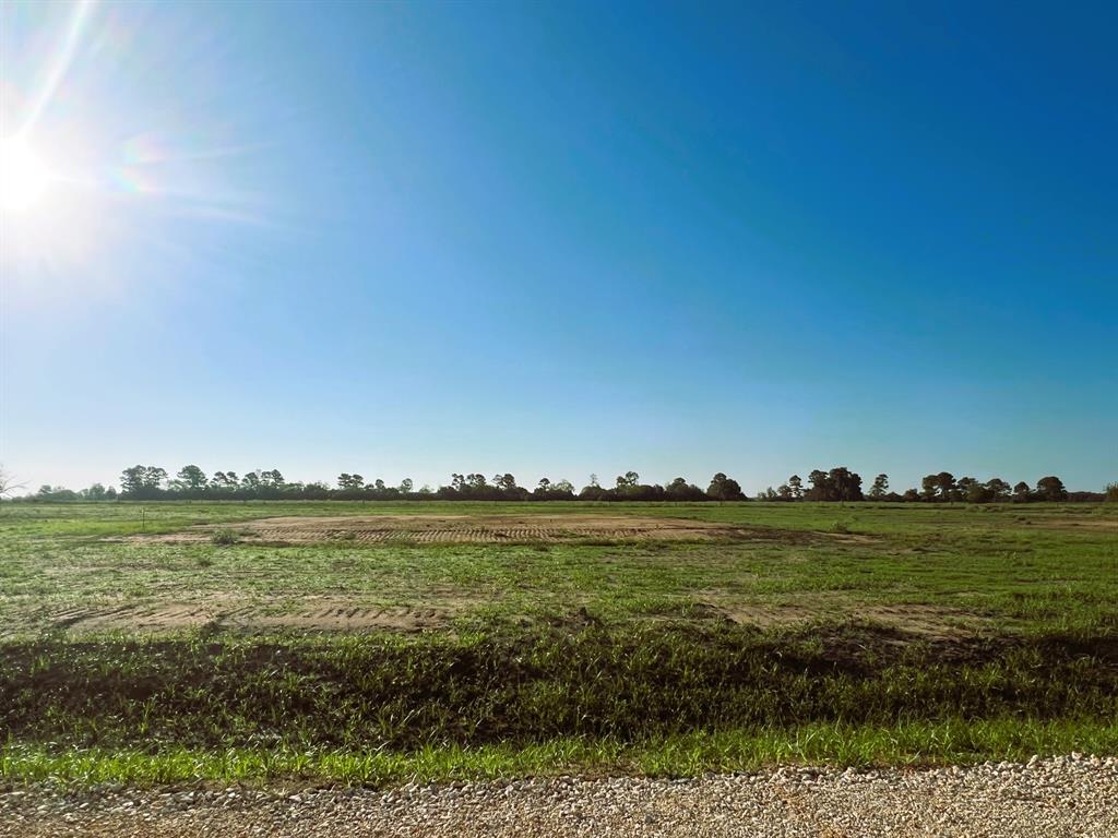 LOT 43 - 1.1258 Acres Ridgeview Drive, Cat Spring, Texas image 10