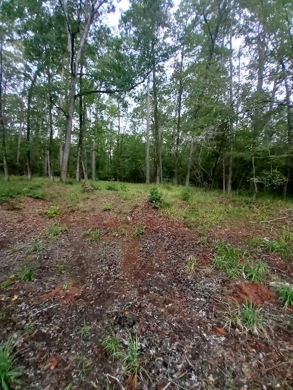 26721 E Pecan Circle Circle, Huntsville, Texas image 7