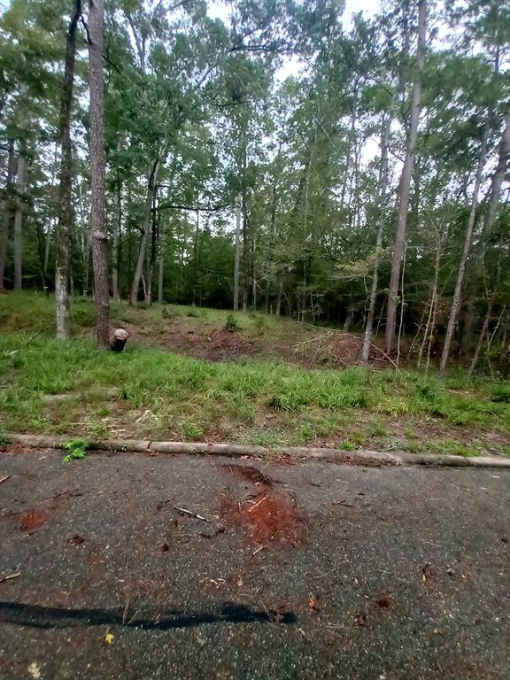 26721 E Pecan Circle Circle, Huntsville, Texas image 18
