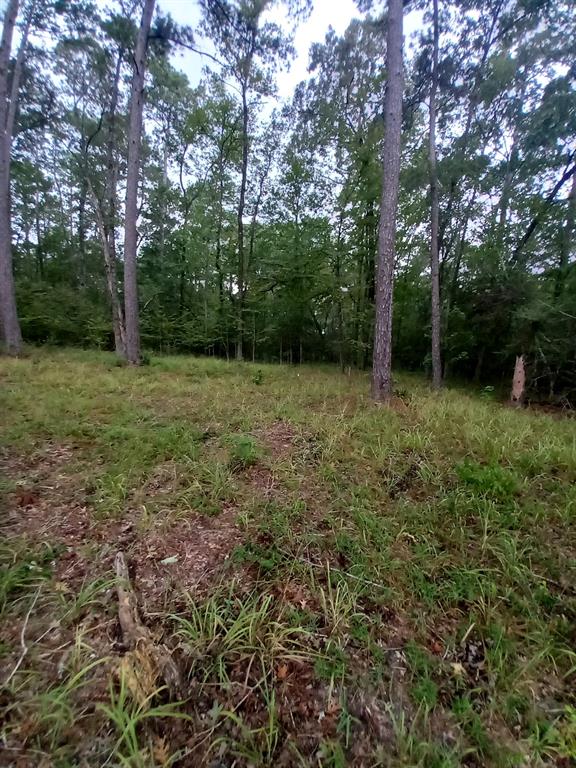 26721 E Pecan Circle Circle, Huntsville, Texas image 14