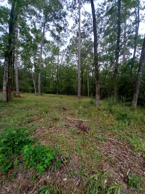 26721 E Pecan Circle Circle, Huntsville, Texas image 8
