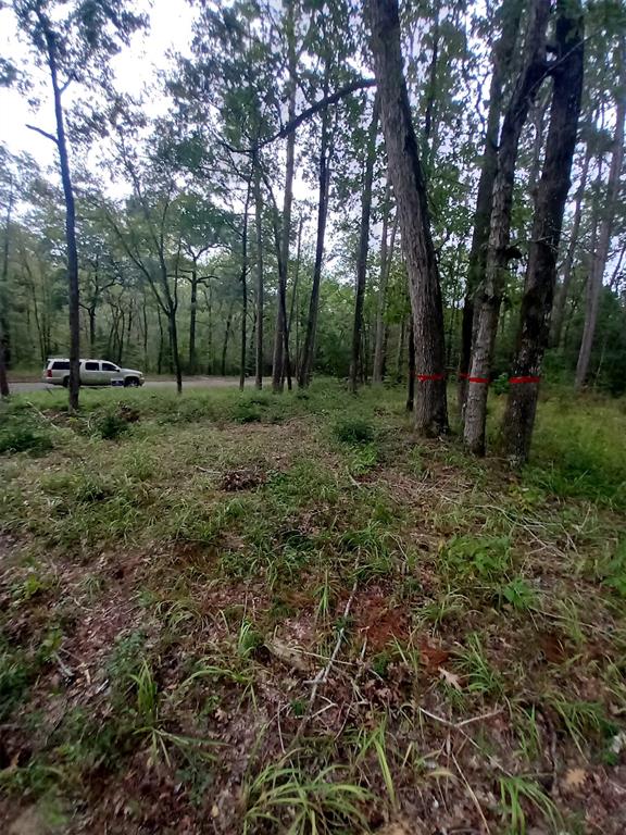 26721 E Pecan Circle Circle, Huntsville, Texas image 19