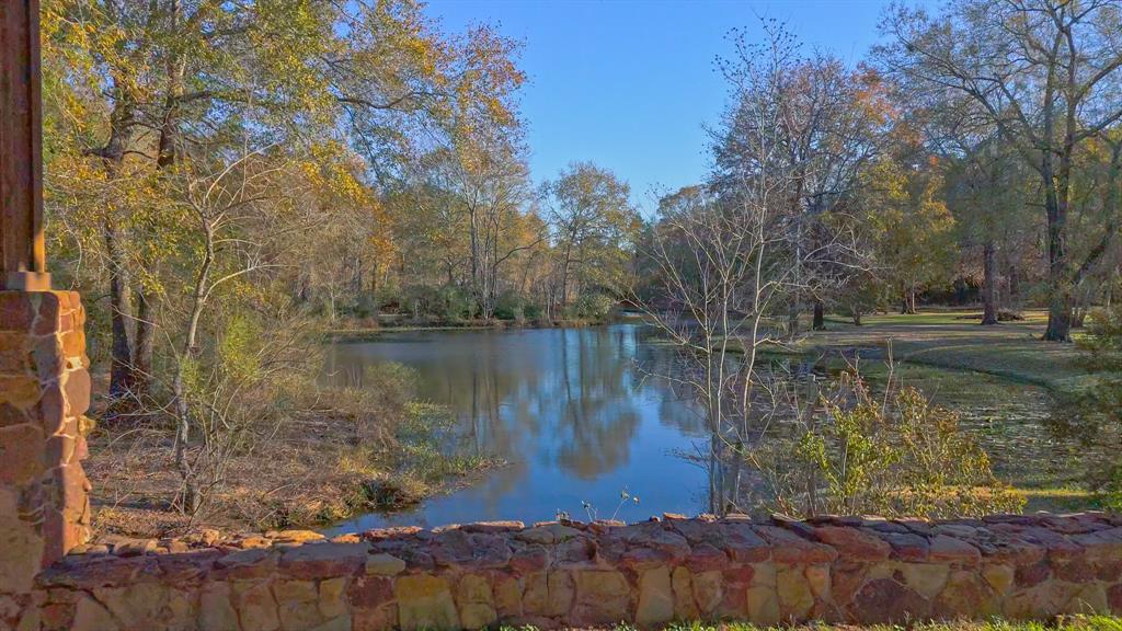 12110 Rainy Oaks Drive, Magnolia, Texas image 40