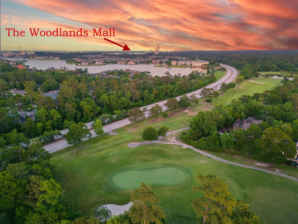 7 Heartleaf Court, The Woodlands, Texas image 29