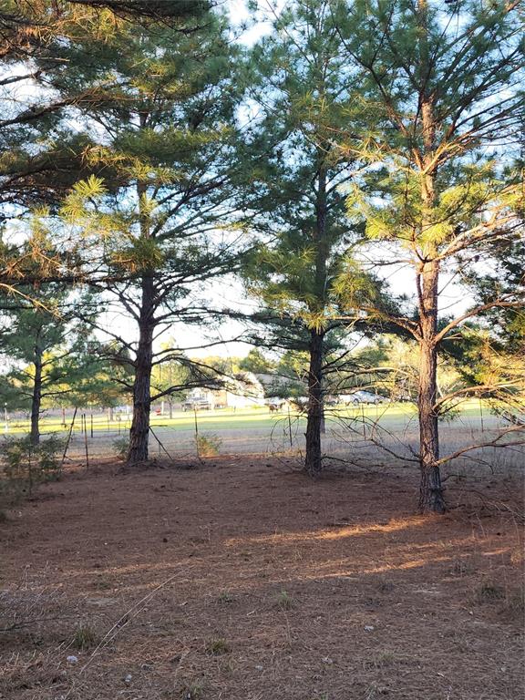 TBD Fm 3283, Hallettsville, Texas image 4
