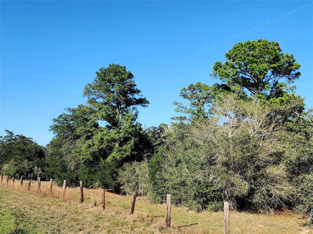 TBD Fm 3283, Hallettsville, Texas image 1
