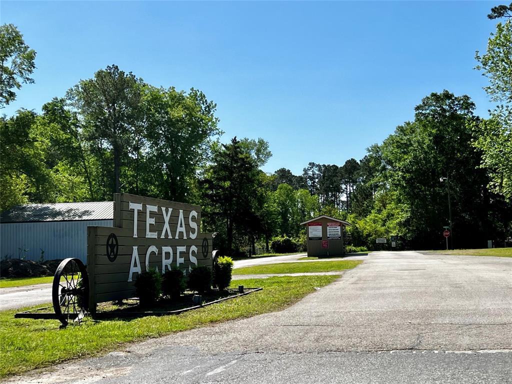 171 Brahman, Onalaska, Texas image 3