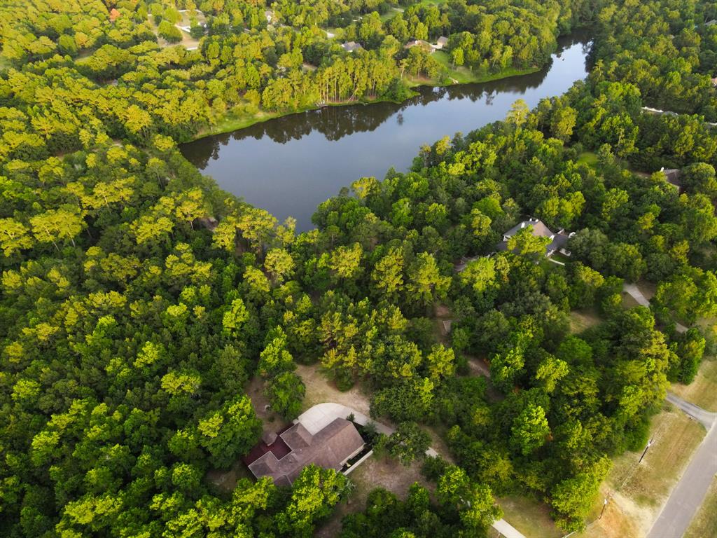 2626 Blue Lake Drive, Magnolia, Texas image 35