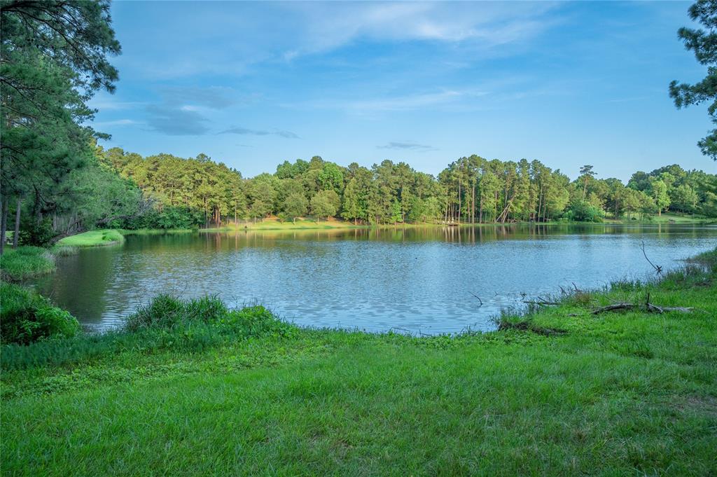 2626 Blue Lake Drive, Magnolia, Texas image 32