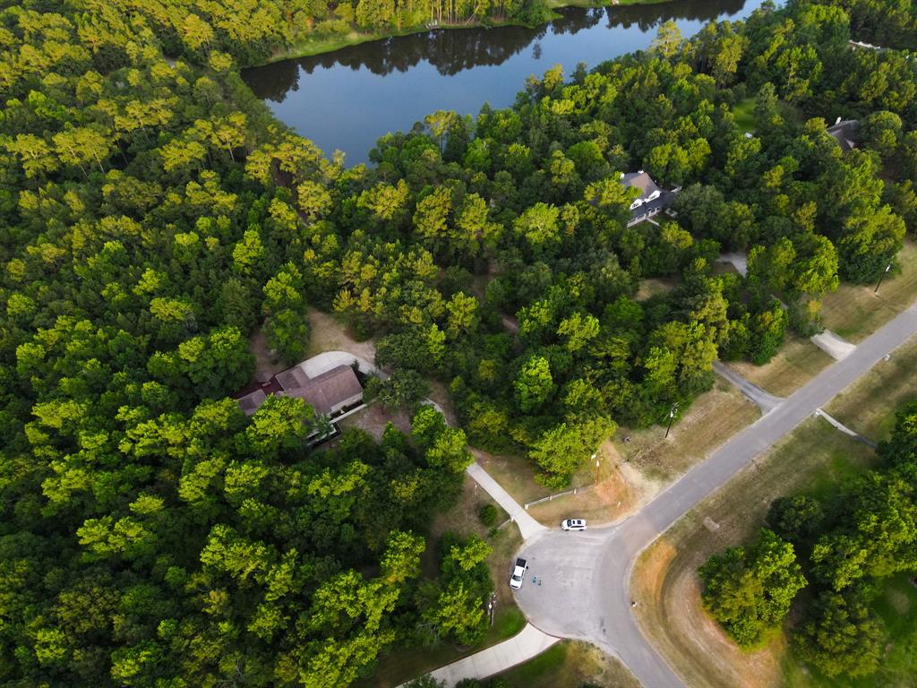 2626 Blue Lake Drive, Magnolia, Texas image 36