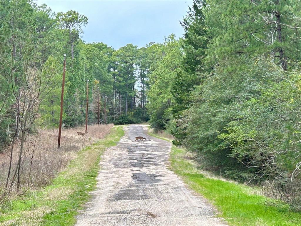 TBD Parkview Drive, Onalaska, Texas image 6