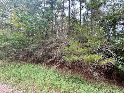 Photo of TBD Parkview Drive, Onalaska, TX 77360 (MLS # 64386520)