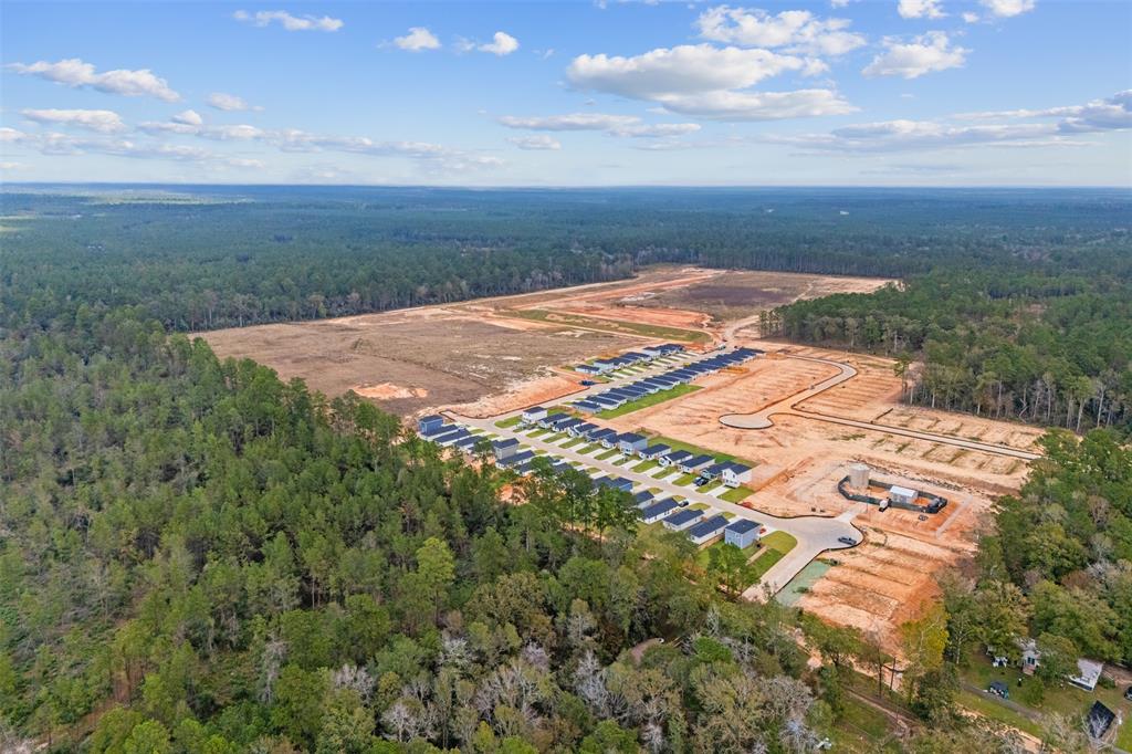 12023 William Trails Circle, Willis, Texas image 22