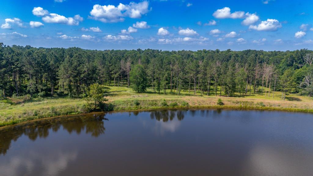 1950 Buckhorn Creek Dr, Crockett, Texas image 9